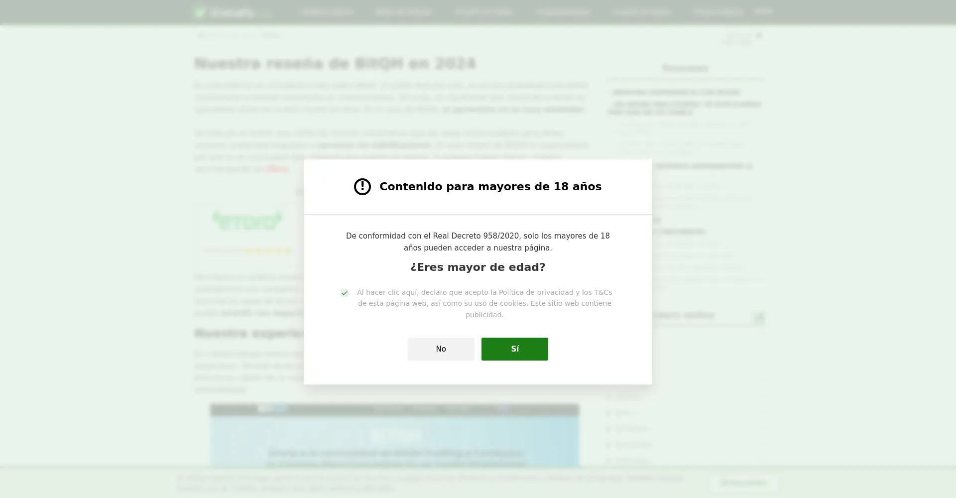 ¿Qué es Bitqh: Opiniones, ¿es una estafa o es seguro y fiable?